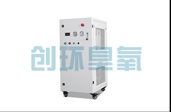 屯昌工厂化养鲈必看：2026年臭氧发生器替代传统消毒的最新方案