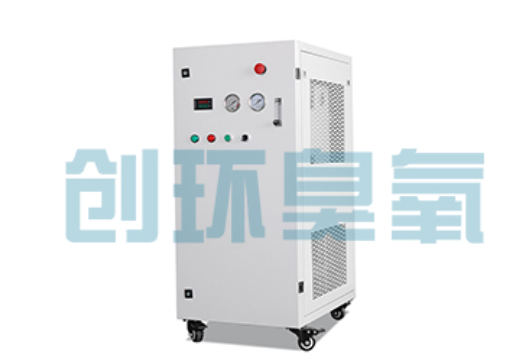 屯昌石斑鱼养殖水质调控完整指南：臭氧发生器配置与操作步骤