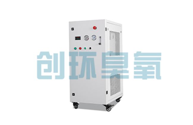 屯昌比传统换水更高效？臭氧发生器在石斑鱼养殖中的水质净化原理解析